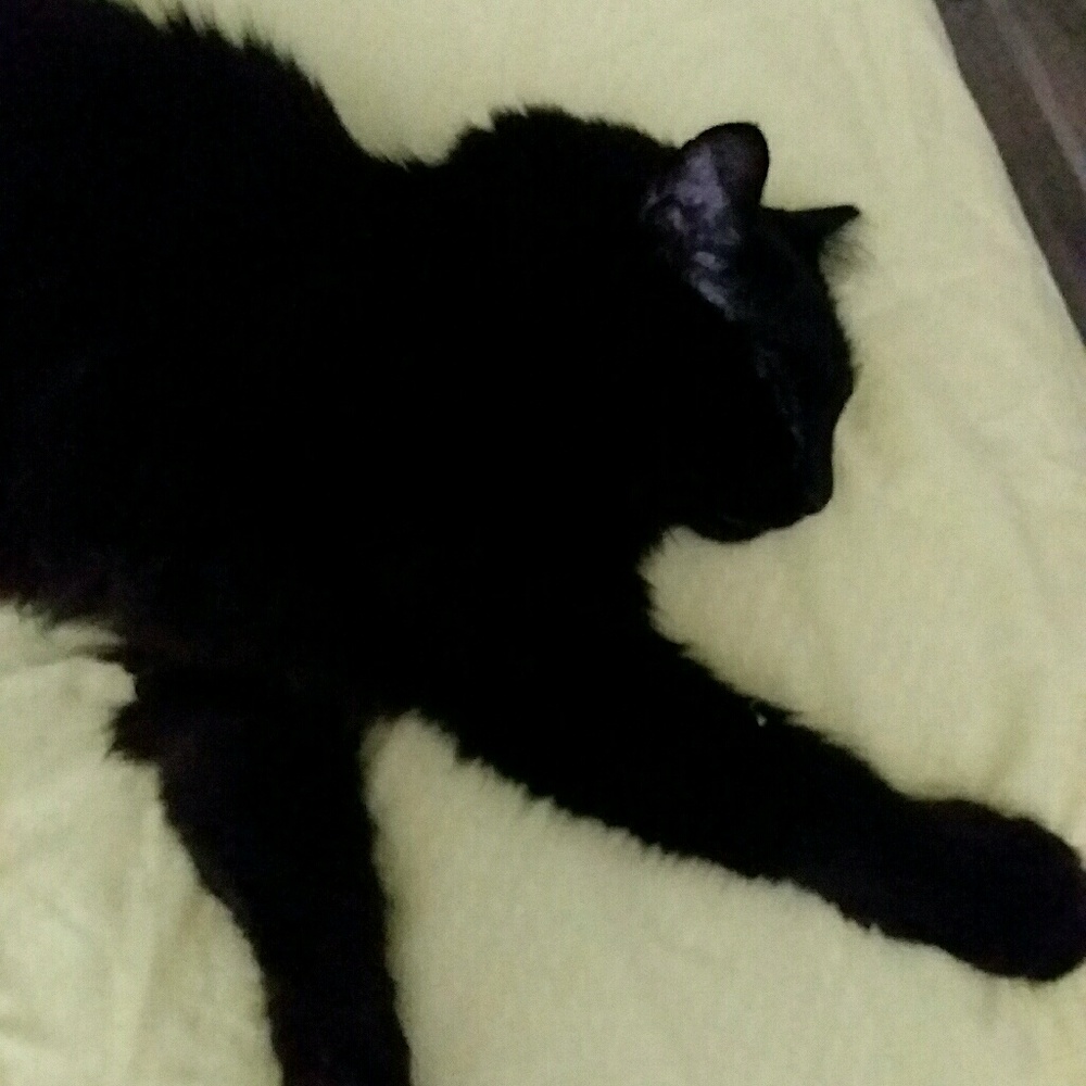 Meet your Posher, Linda